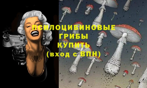 гидра Краснотурьинск
